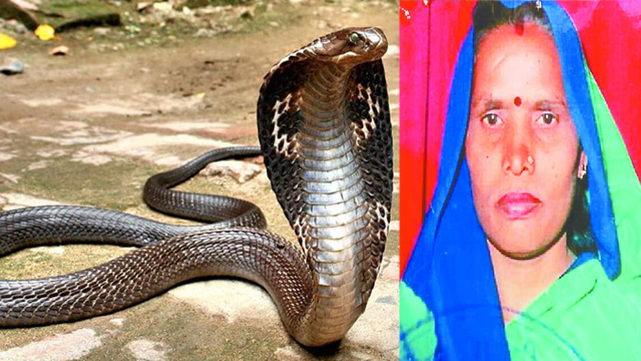 After revenge of Naga death Nagin died