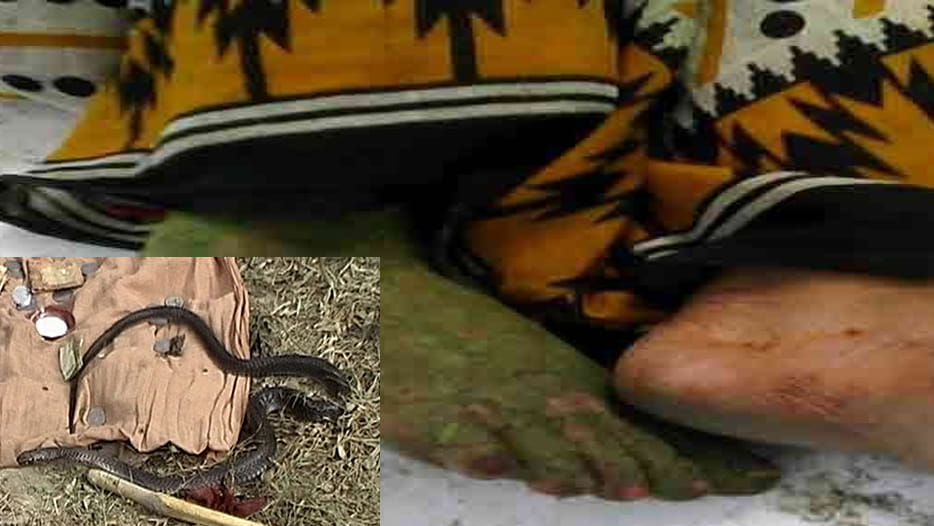 After revenge of Naga death Nagin died
