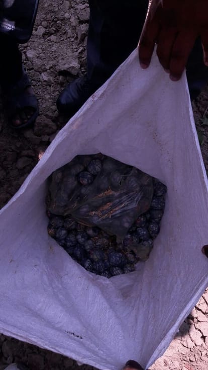  explosion occurred again in Sarsaol
