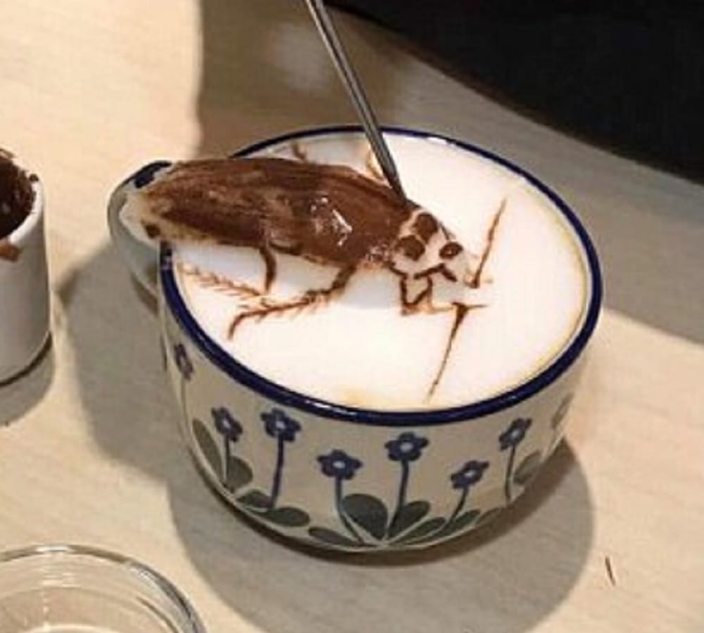 Taiwan barista makes cockroach cappuccino coffee which goes viral on internet 