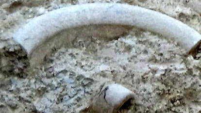 utensils of copper stone age are found in the digging