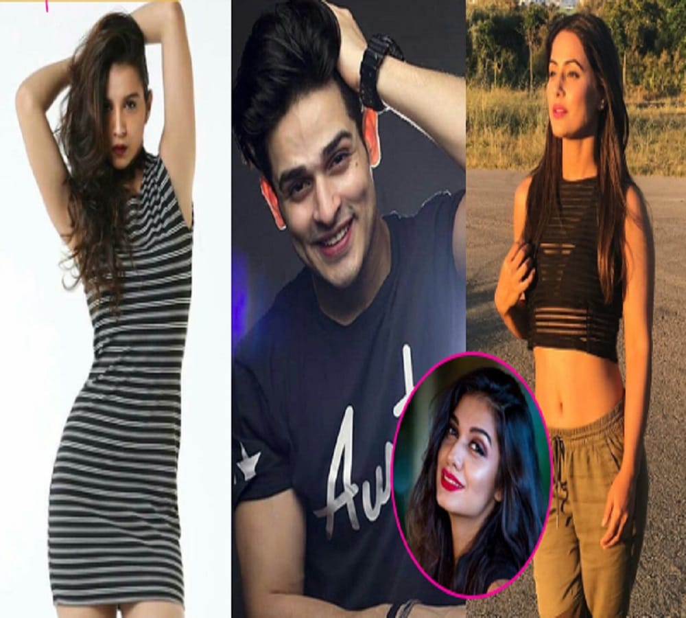 bigg boss 11 priyank sharma's girlfriend speak over vikas gupta falseness 