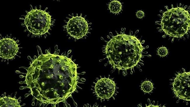 swine flu effect cause of death regularly here 