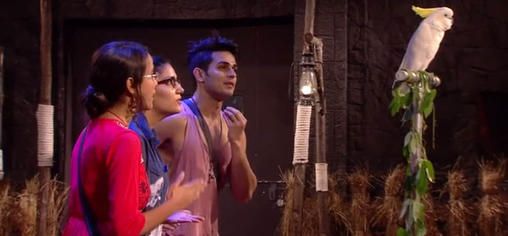 bigg boss 11 sapna choudhary failed in first luxury budget task