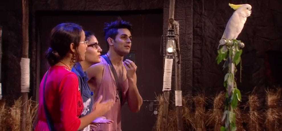 bigg boss 11 sapna choudhary failed in first luxury budget task