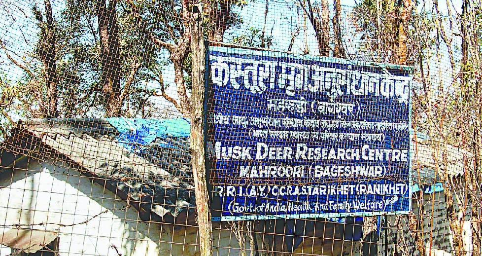 IVR doctors team for visas test
