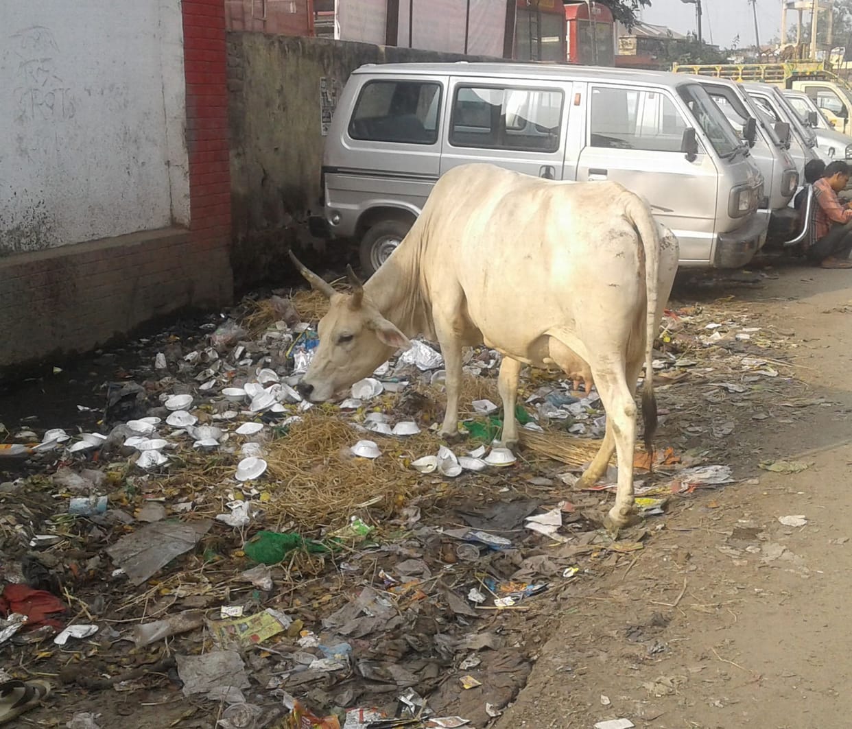एक करोड़ खर्च, पर सफाई शून्य