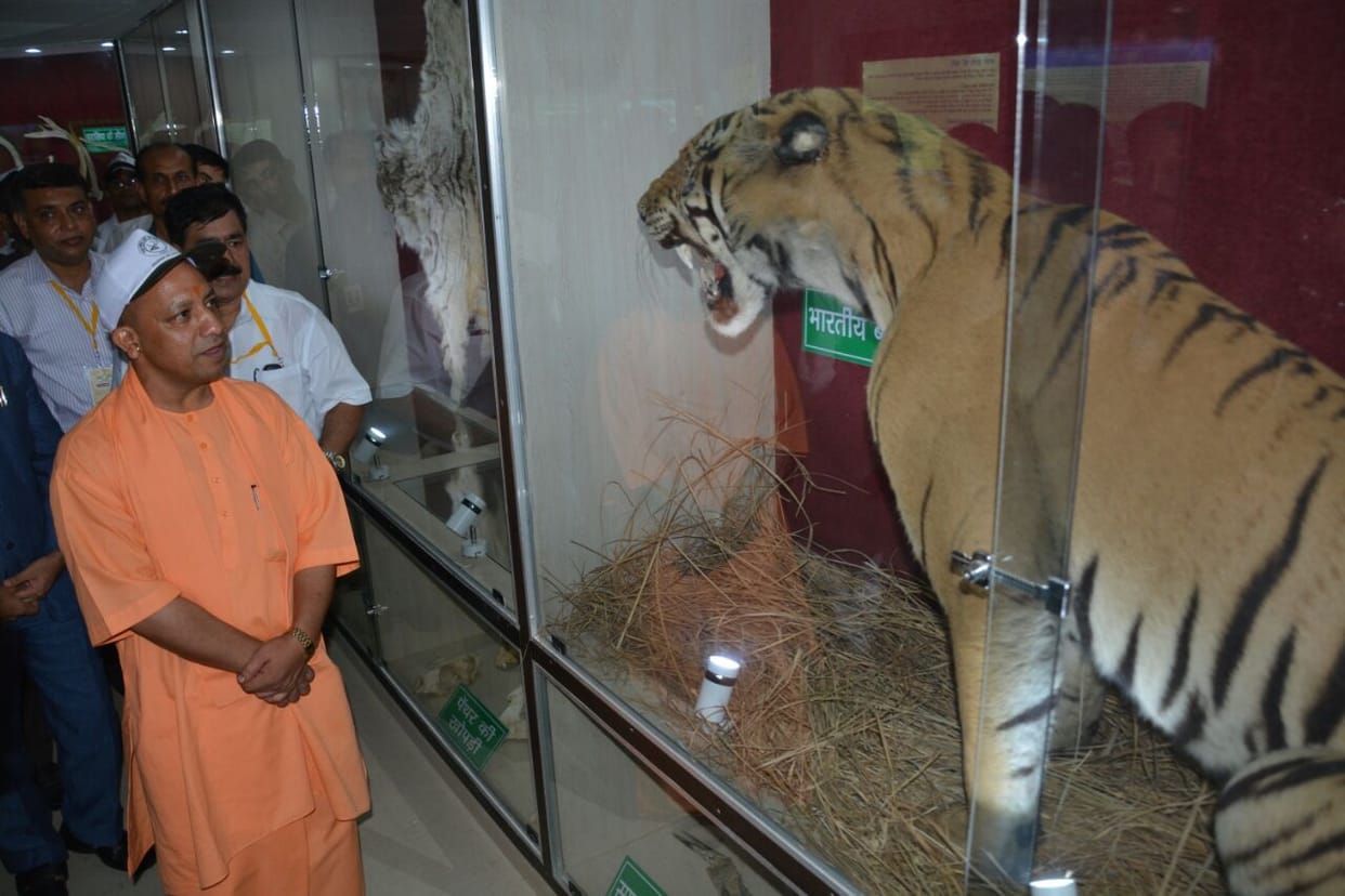 cm yogi reached lucknow zoo