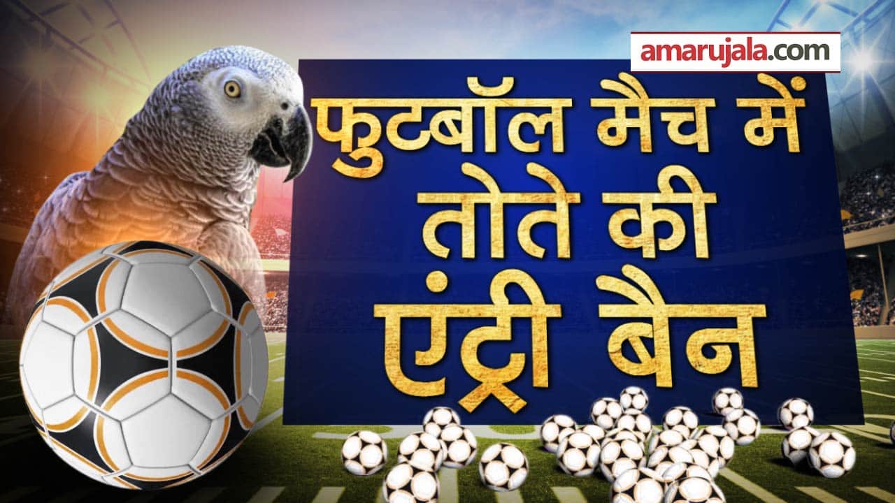 प्रतीकात्मक तस्वीर