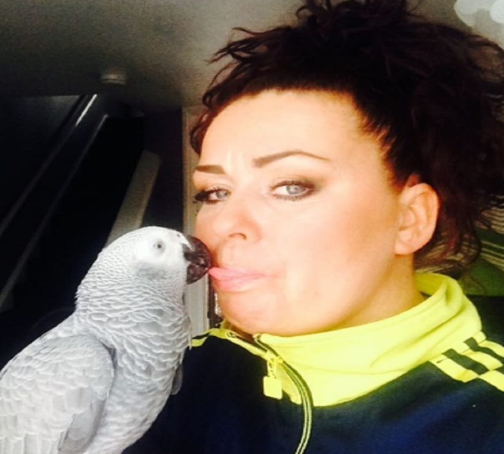 Football loving African Grey parrot Kelo banned from the match