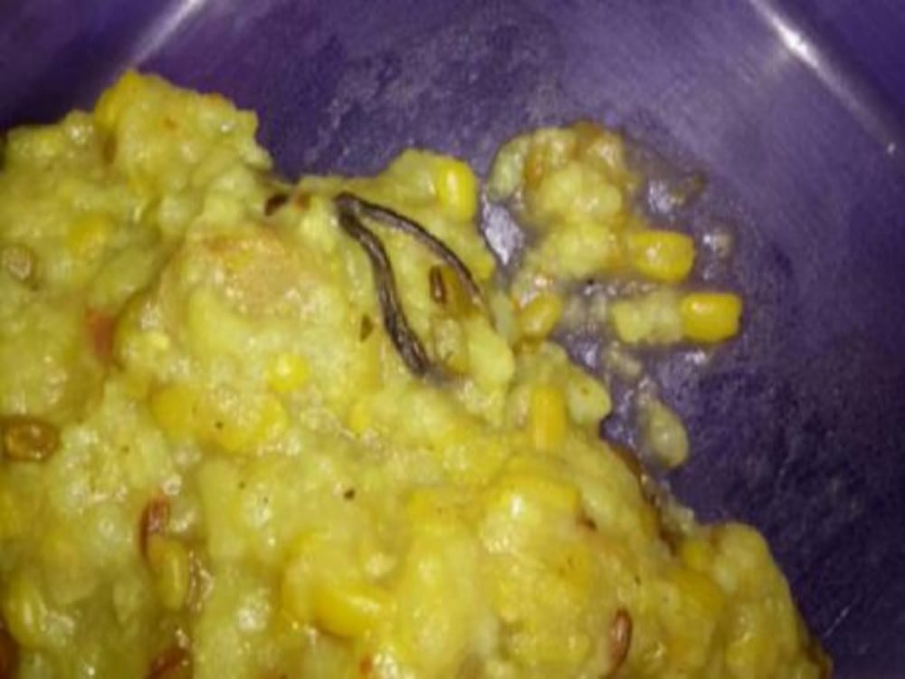 worms found in engineering college canteen food in new tehri