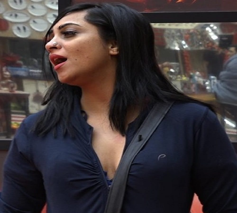 bigg boss 11 mehjabi accused arshi spitting into tea