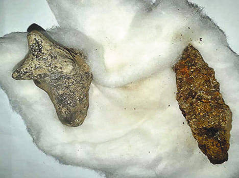 Pure stone era scarf and stone axes found