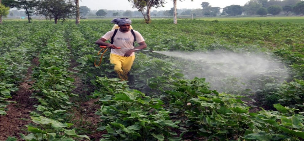 In Maharashtra 18 people died due to use of pesticides, 800 farmers in serious condition