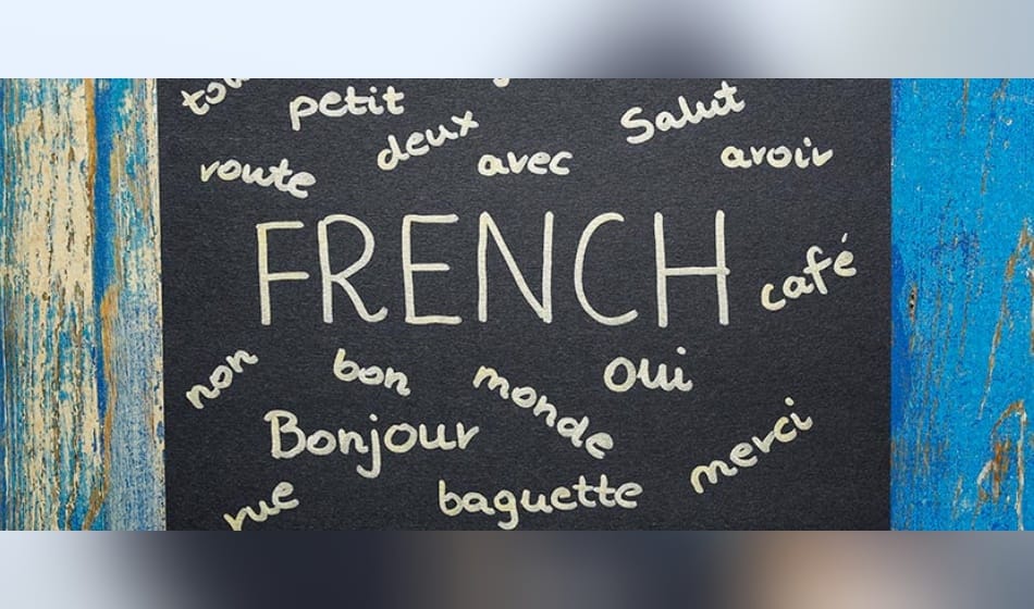 foreign languages will no more be the part of three language formula in schools