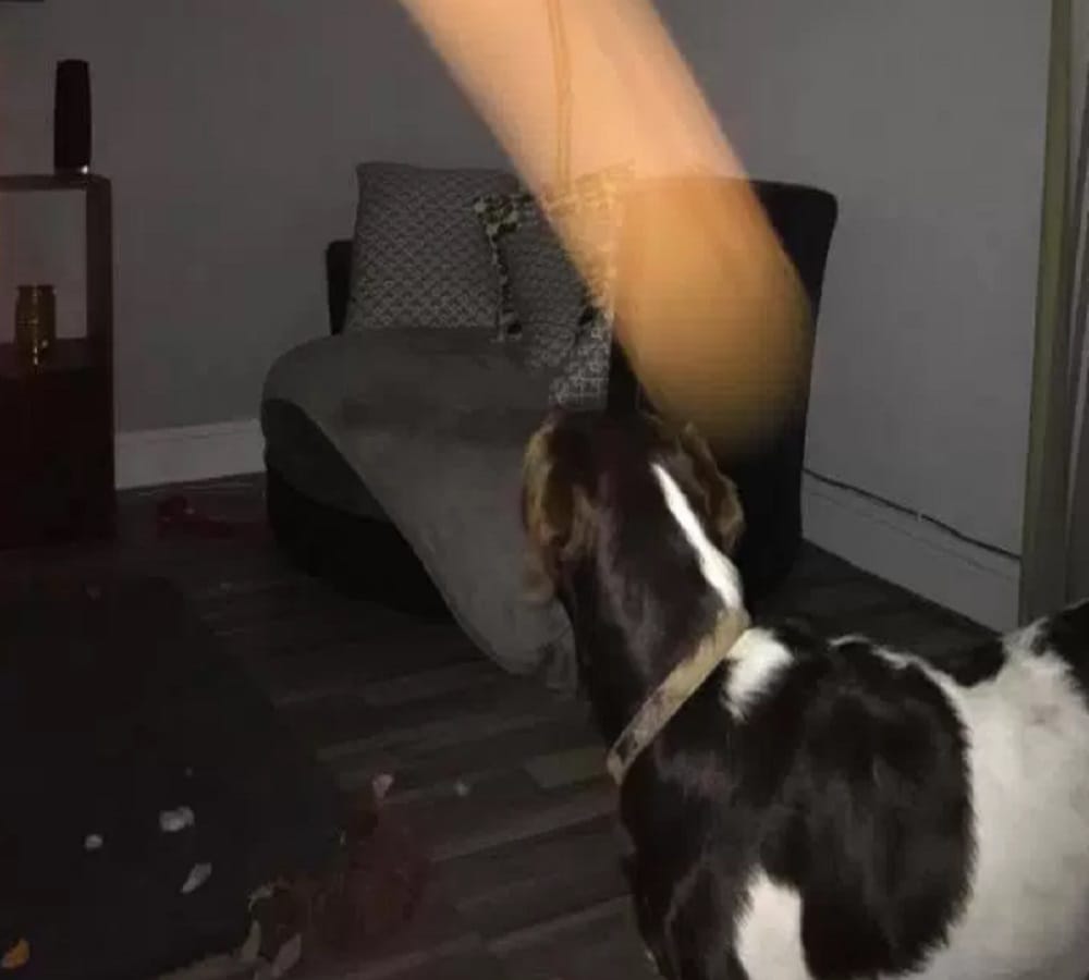 girl captured ghost sitting on the armchair  