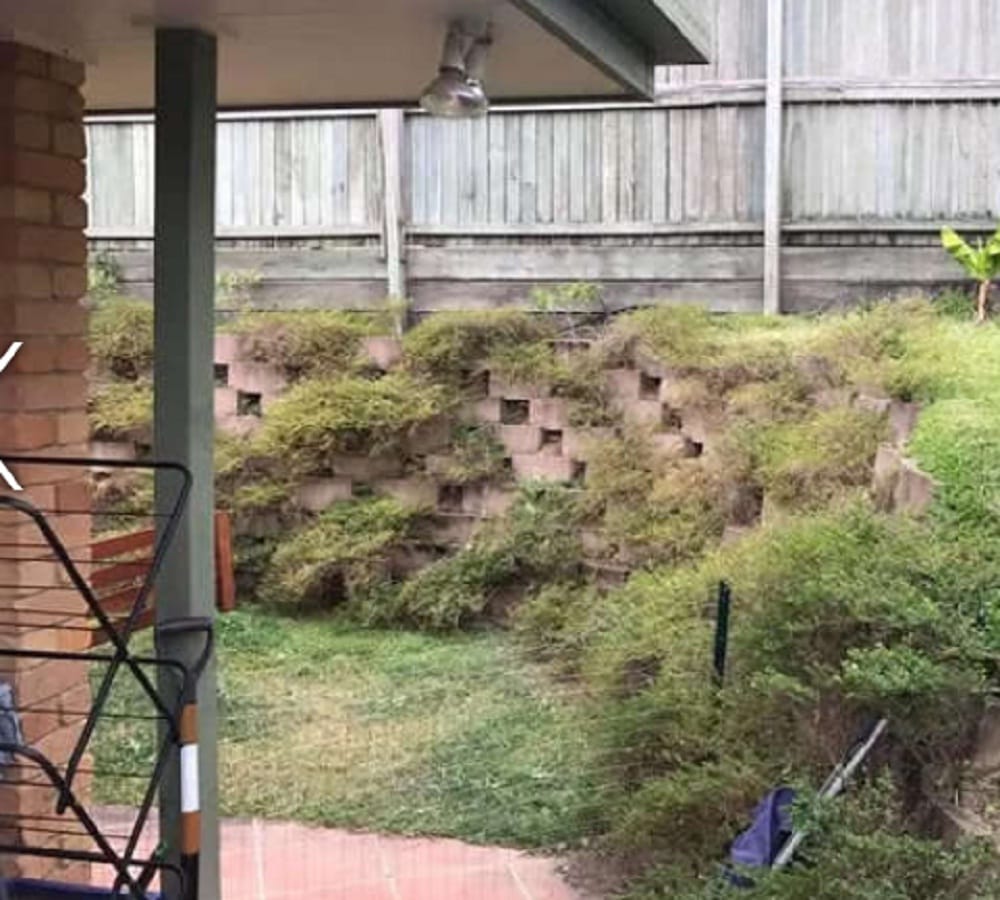 Australian woman is not aware that inside her home python hidden