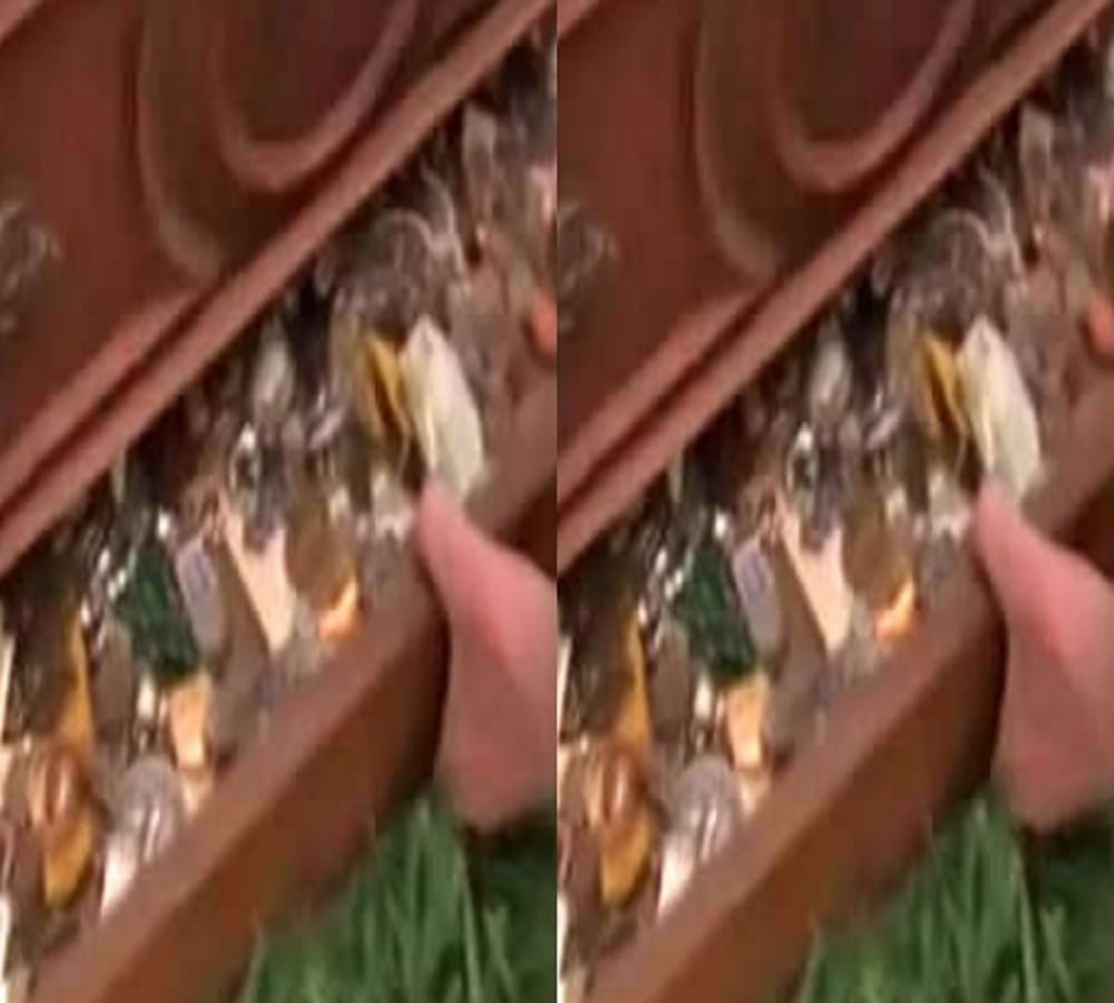 man found jewellery in secret box which makes him lakhpati