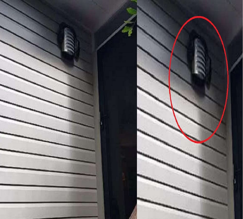 Australian woman is not aware that inside her home python hidden