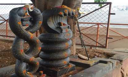 know bad effects of rahu ketu in your house