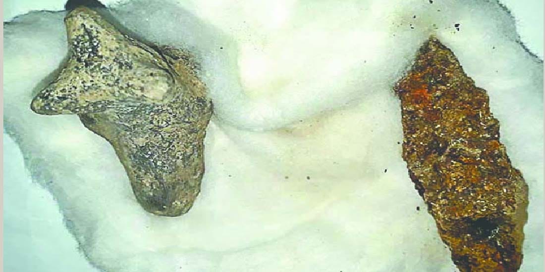 Weapons and toys found in Digging