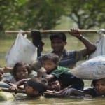 rohingya 