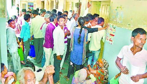मच्छरों की भरमार, लोगों को कर रहे बीमार