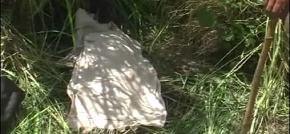 a minor student Murderd after gangrape in chapra