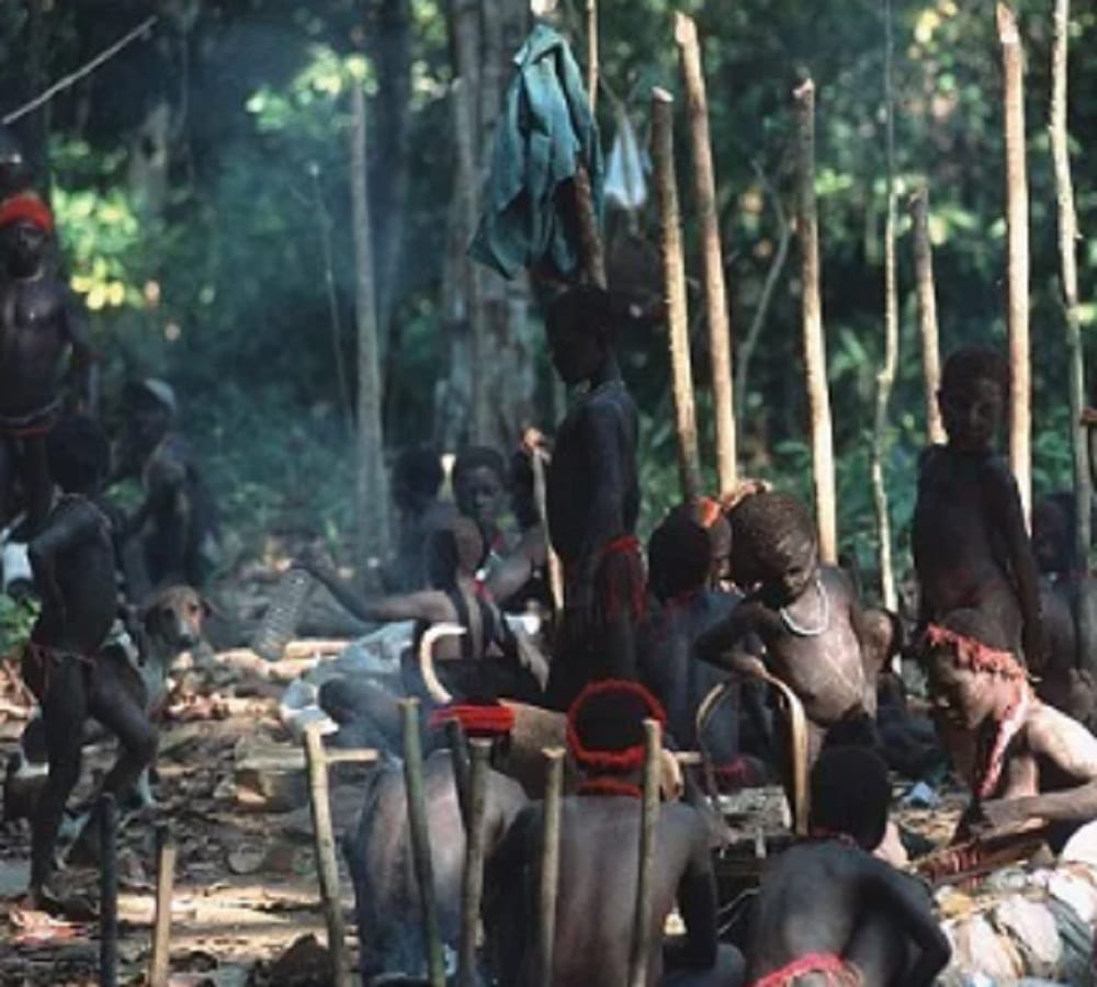 Jarawa community killed new born child because of his fair complexion 