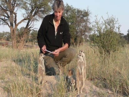 Switzerland science understands language of Mongoose
