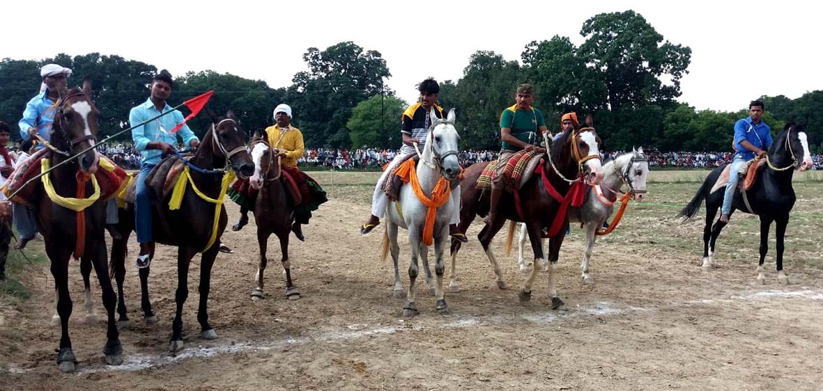 horse riding competition in varanasi
