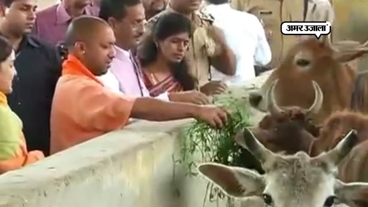 अपर्णा यादव