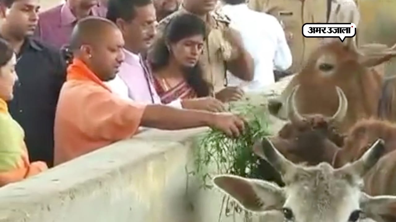 अपर्णा यादव