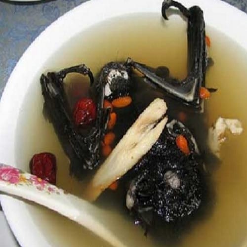 Most bizarre foods in the world
