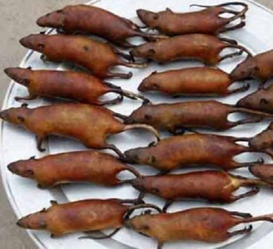 Most bizarre foods in the world