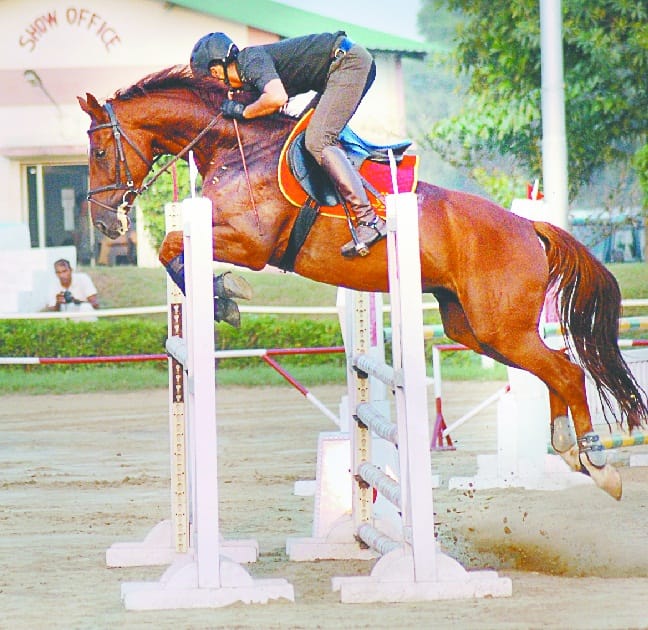 70 horse , cross country