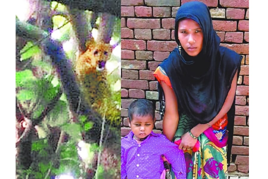  A mother saved her son from leopard in bahraich