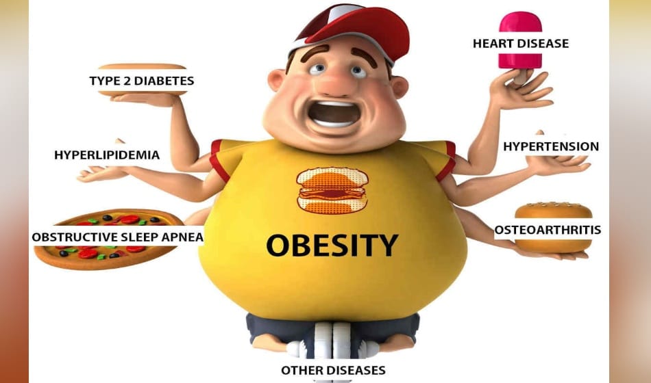 green tea is beneficial for weight loss