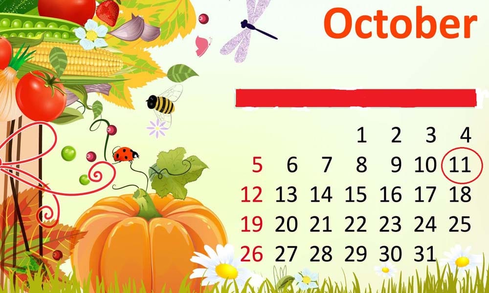 prediction about 11 october birthday according to numerology