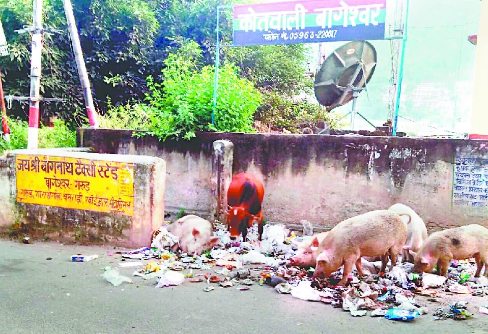 dumping grounddumping ground will sick people,s