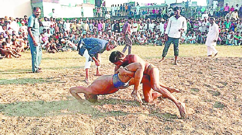 Haryana's wrestlers dominate