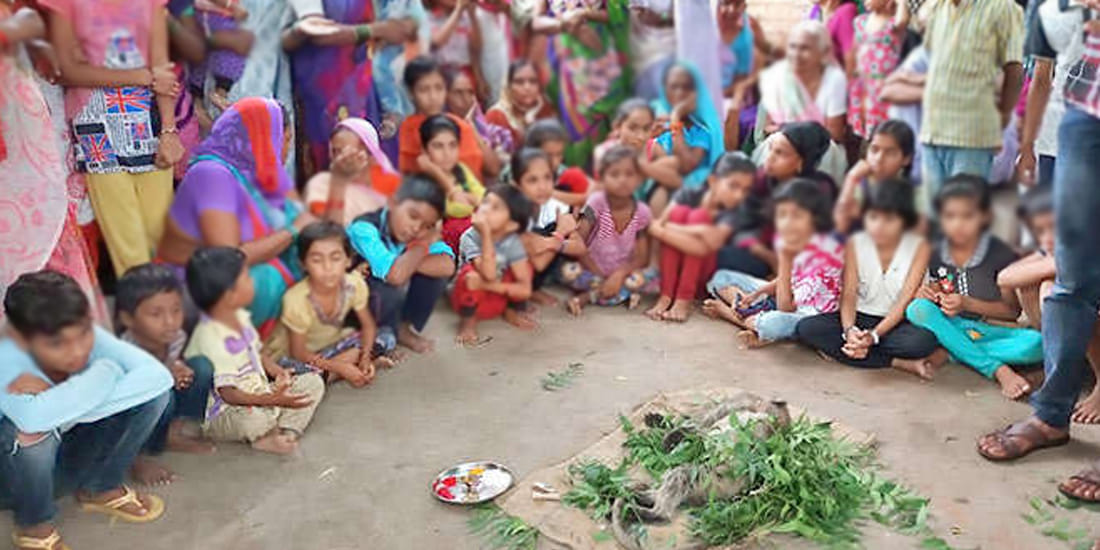 People from several villages reached the thirteenth in Langur