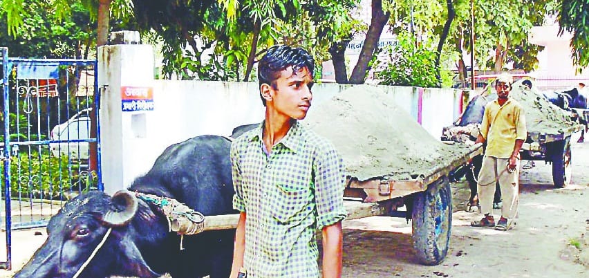 neher se khanan kar rahe maafia