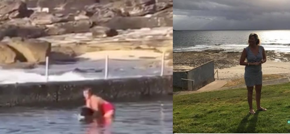 video goes viral of a mum wrestles with shark in a swimming pool at australia