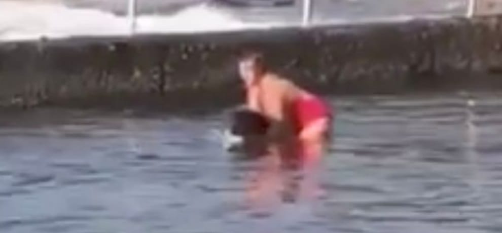 video goes viral of a mum wrestles with shark in a swimming pool at australia