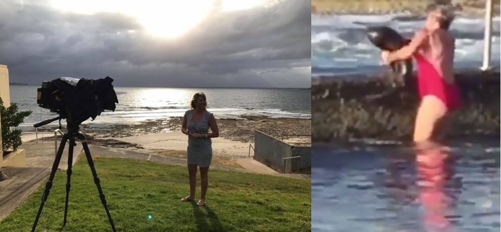video goes viral of a mum wrestles with shark in a swimming pool at australia