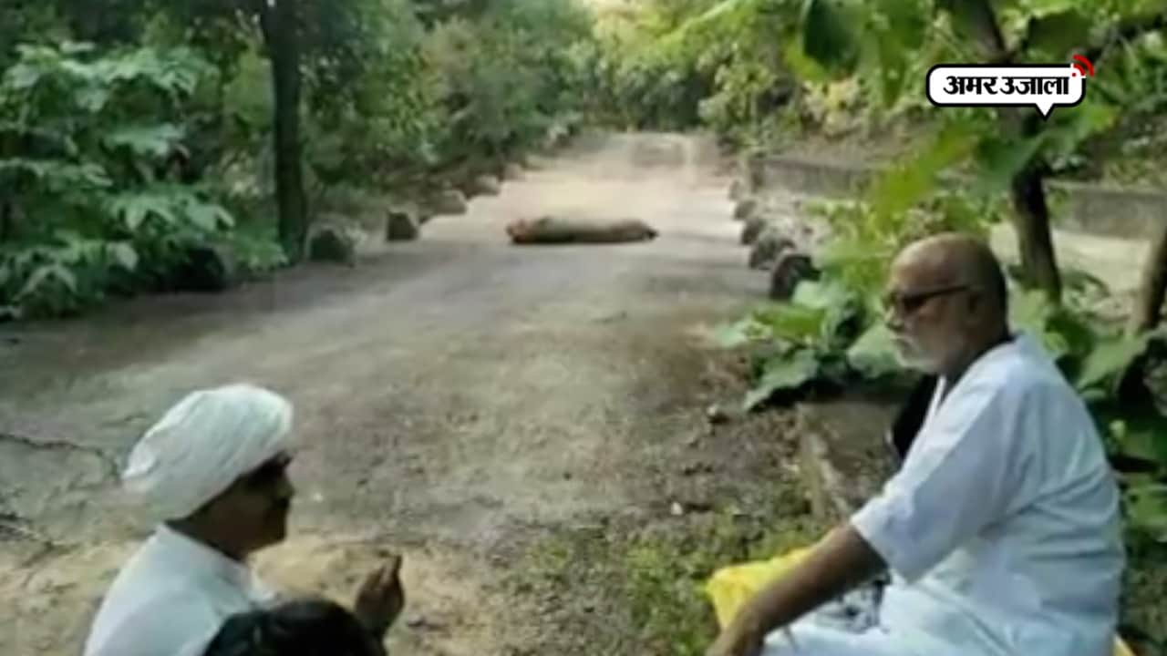 मोरारी बापू