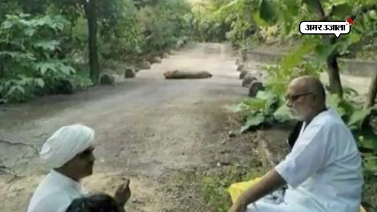 मोरारी बापू