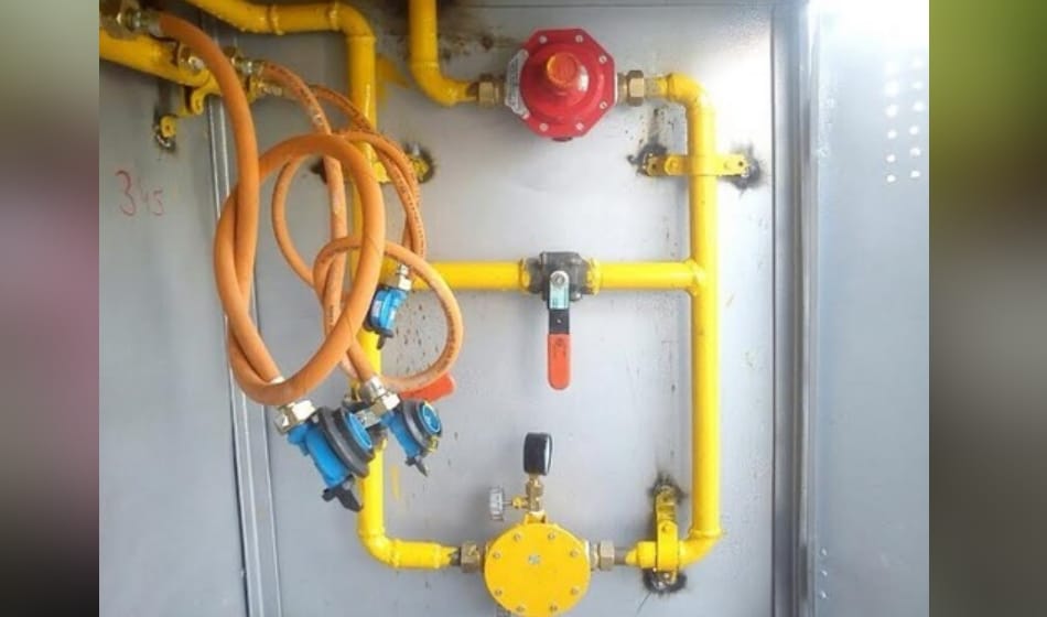 spiderman thief arrest in delhi, use to climb many storeys through png pipeline