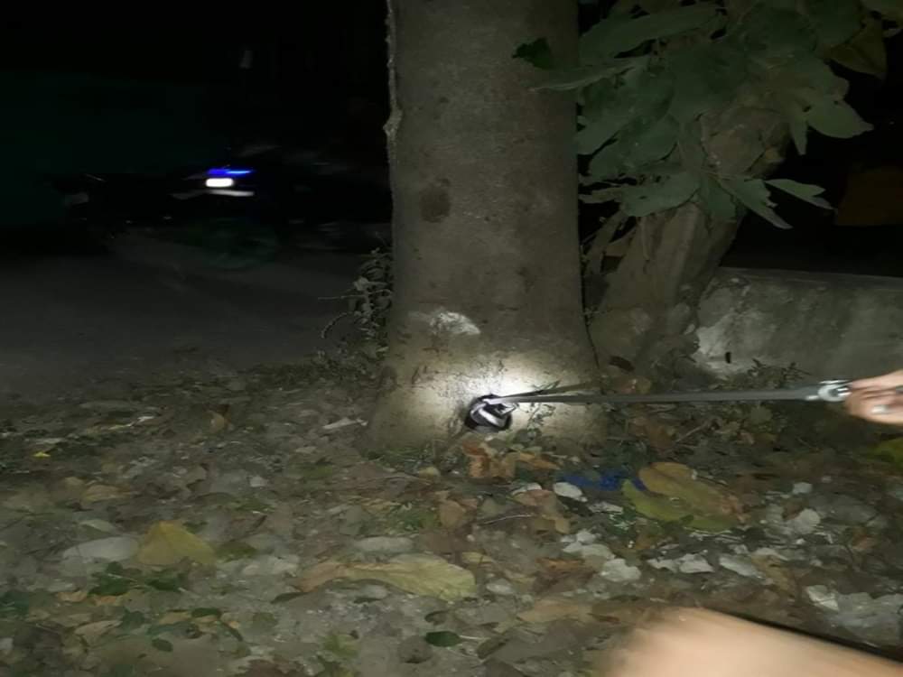 cobra rescue from house Veranda in dehradun